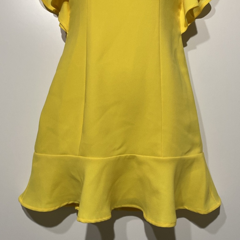 BCBGeneration Ruffle Mini Dress - Picture 4 of 14